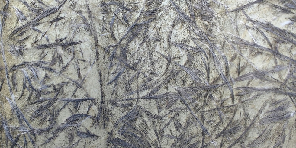 Иллюстративное изображение к профессии