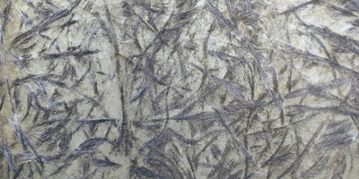 Иллюстративное изображение к профессии