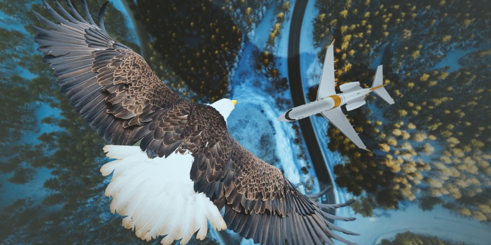 Иллюстративное изображение к профессии