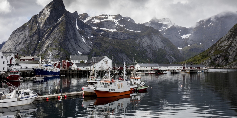 Иллюстративное изображение к профессии