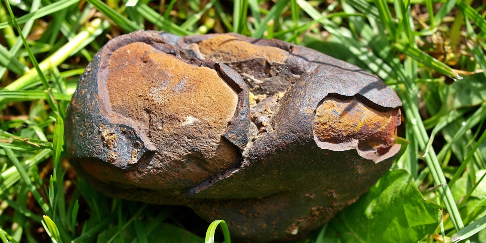 Иллюстративное изображение к профессии