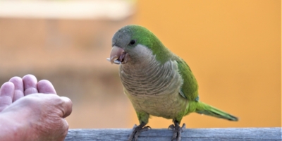 Иллюстративное изображение к профессии