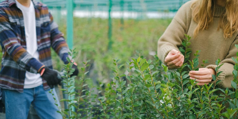 Иллюстративное изображение к профессии