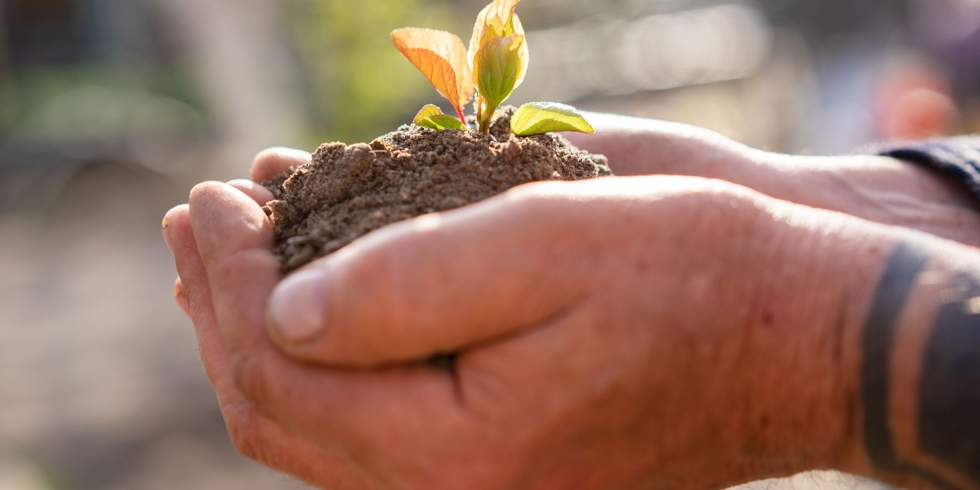 Иллюстративное изображение к профессии