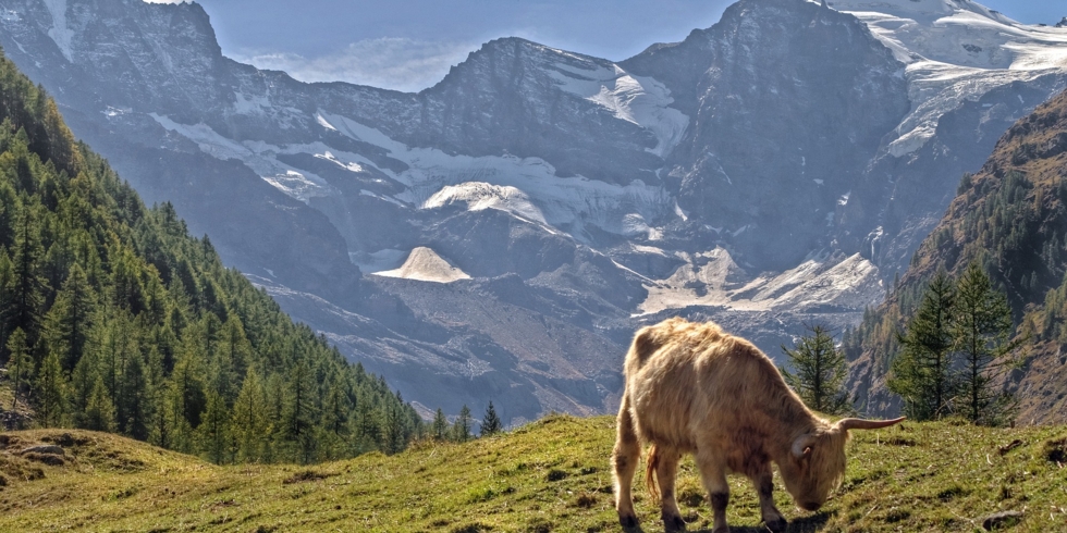 Иллюстративное изображение к профессии
