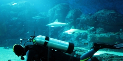 Иллюстративное изображение к профессии