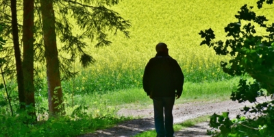 Иллюстративное изображение к профессии