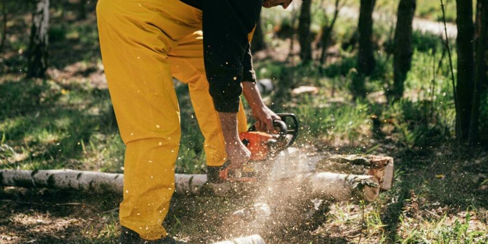 Иллюстративное изображение к профессии