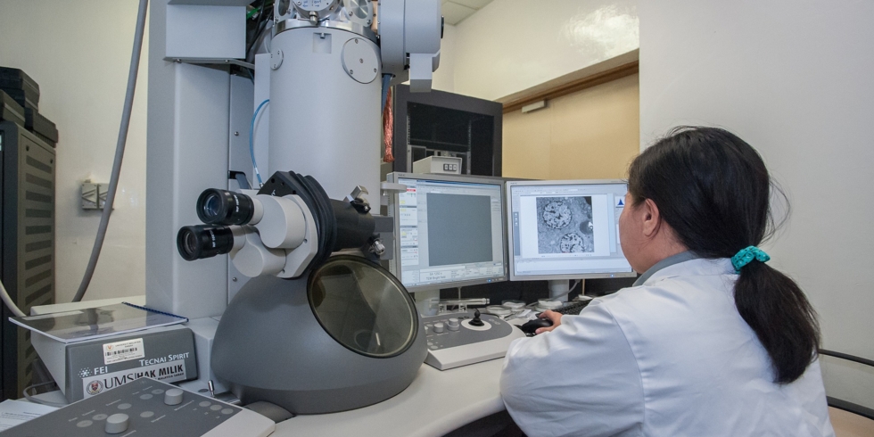 Иллюстративное изображение к профессии