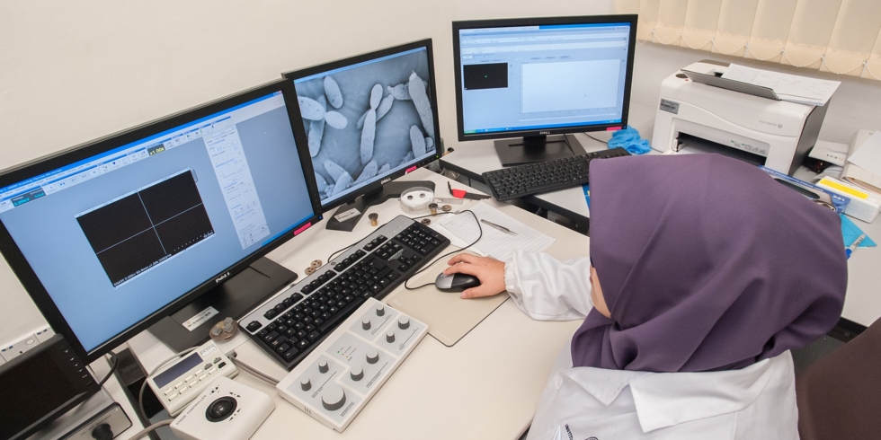 Иллюстративное изображение к профессии