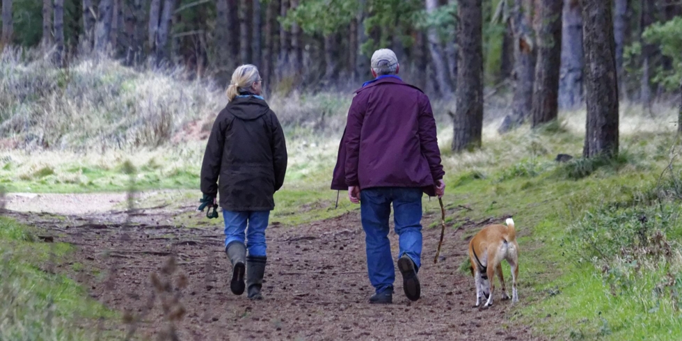 Иллюстративное изображение к профессии