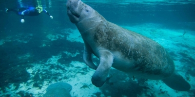 Иллюстративное изображение к профессии