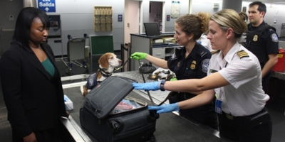 Иллюстративное изображение к профессии