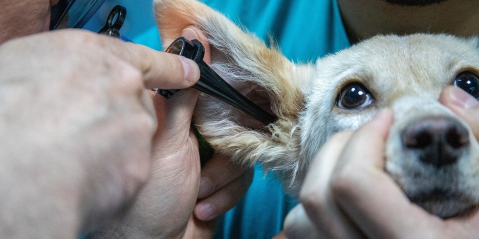 Иллюстративное изображение к профессии