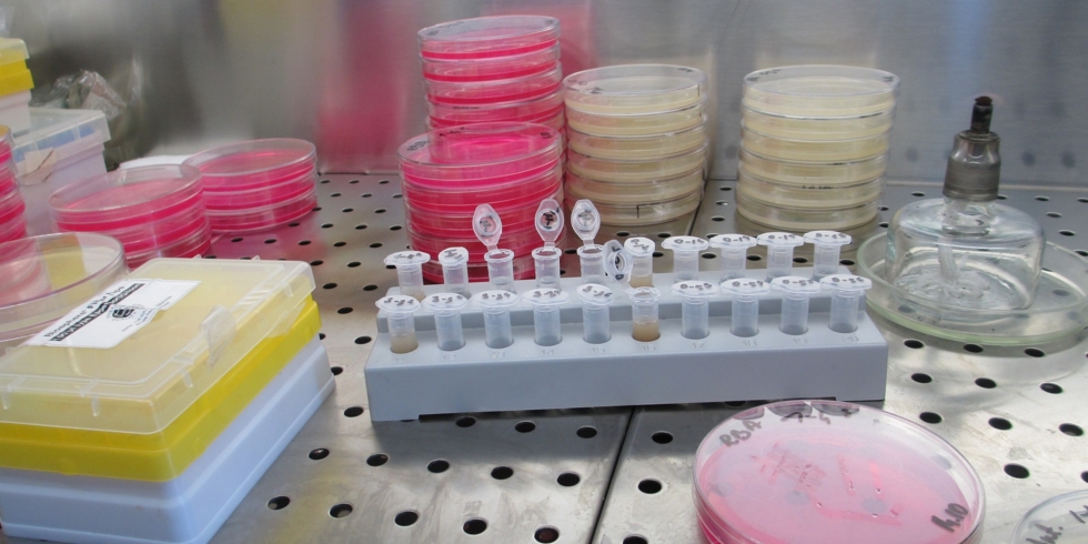 Иллюстративное изображение к профессии