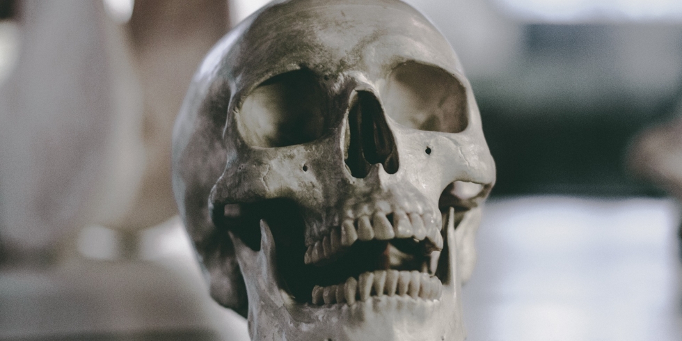 Иллюстративное изображение к профессии