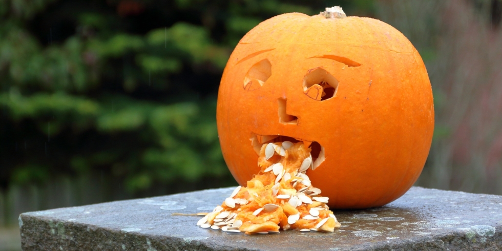 Иллюстративное изображение к профессии