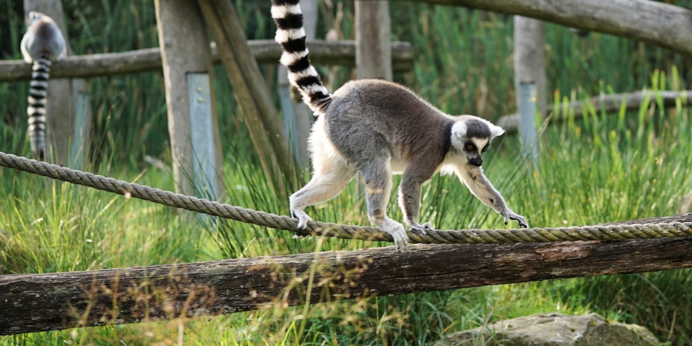 Иллюстративное изображение к профессии