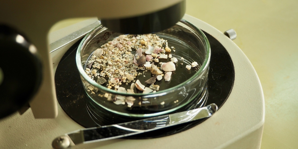 Иллюстративное изображение к профессии