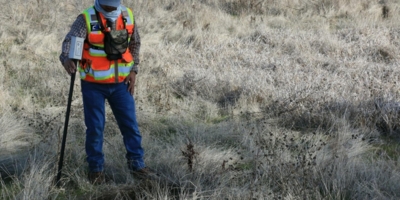 Иллюстративное изображение к профессии