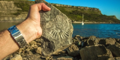 Иллюстративное изображение к профессии