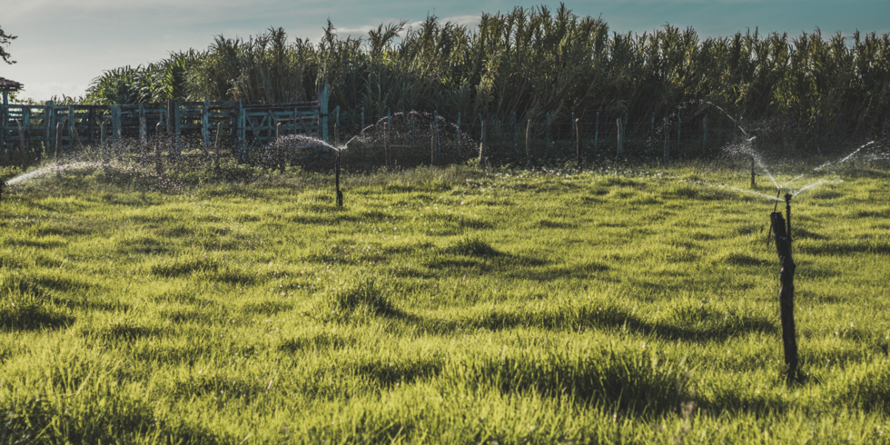 Иллюстративное изображение к профессии