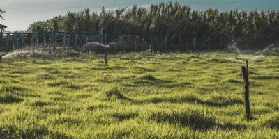 Иллюстративное изображение к профессии