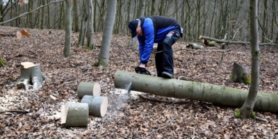 Иллюстративное изображение к профессии