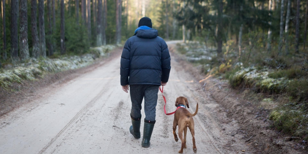 Иллюстративное изображение к профессии