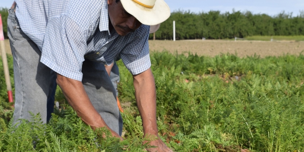 Иллюстративное изображение к профессии