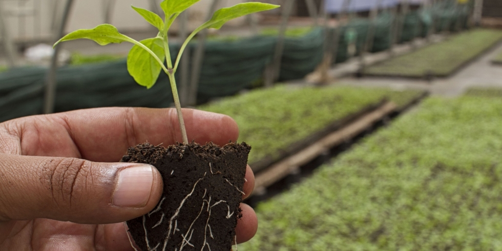 Иллюстративное изображение к профессии