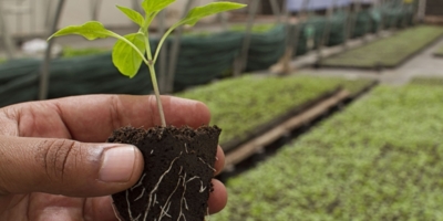 Иллюстративное изображение к профессии