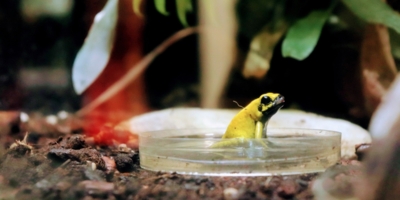 Иллюстративное изображение к профессии