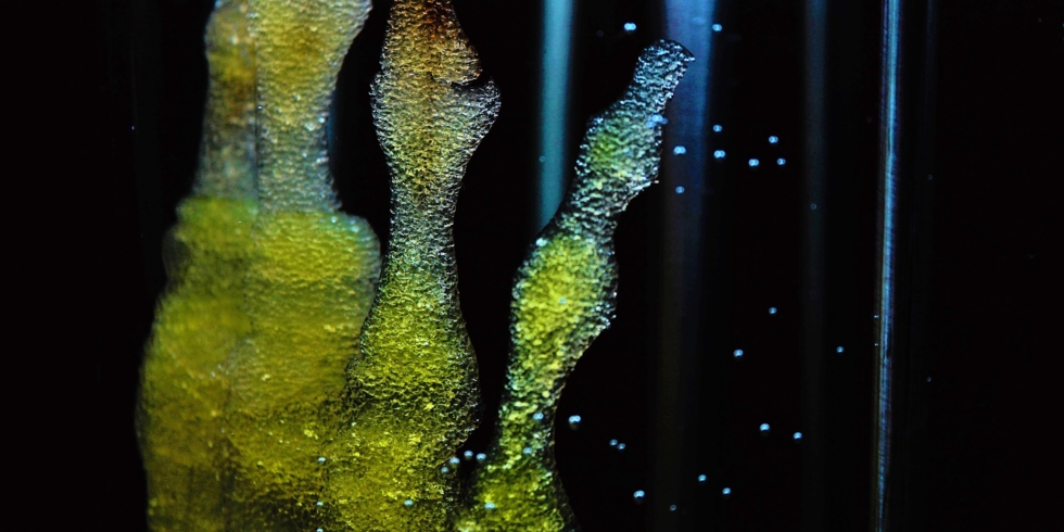 Иллюстративное изображение к профессии