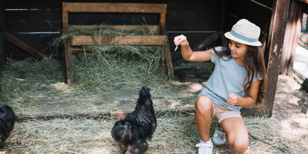 Иллюстративное изображение к профессии