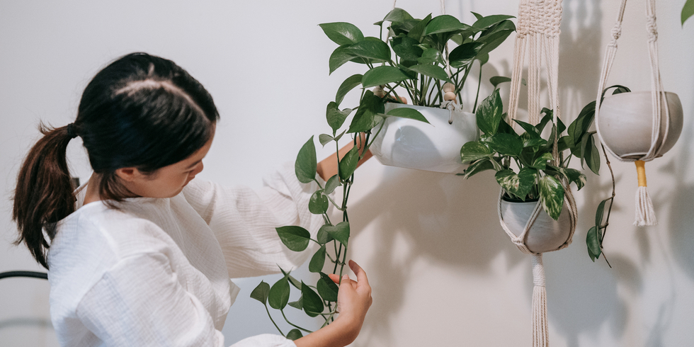 Иллюстративное изображение к профессии