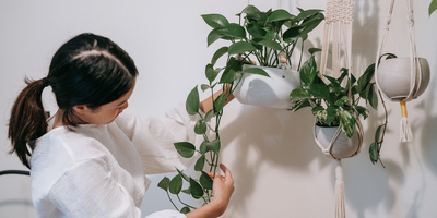 Иллюстративное изображение к профессии