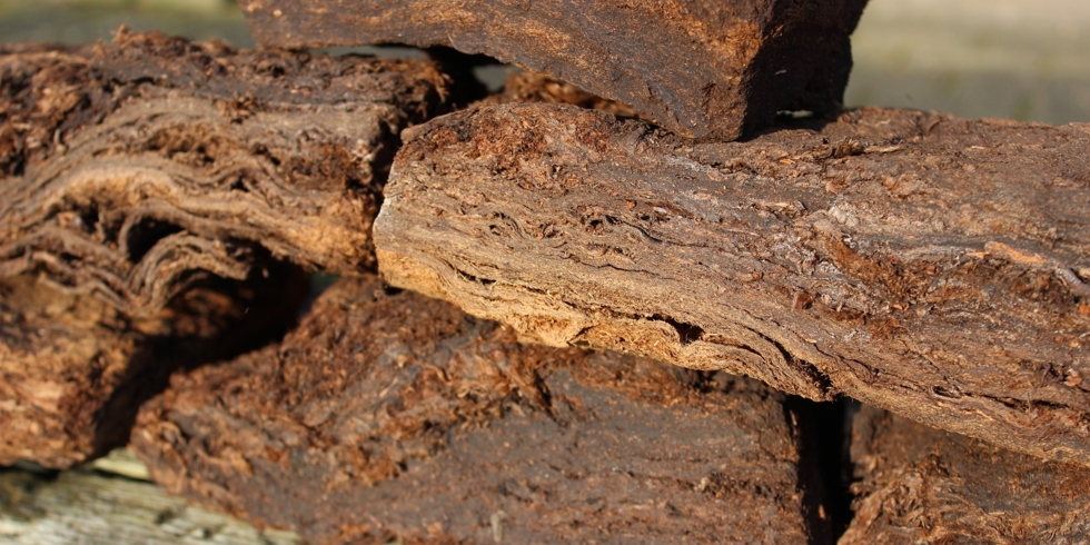 Иллюстративное изображение к профессии