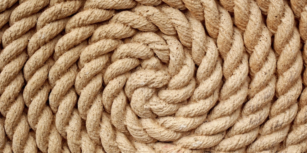 Иллюстративное изображение к профессии