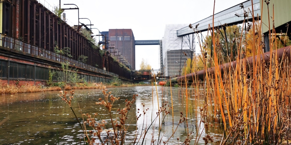 Иллюстративное изображение к профессии