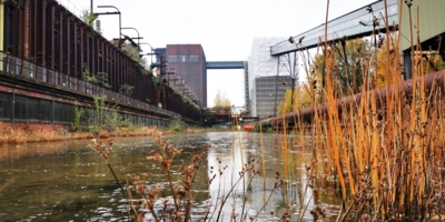 Иллюстративное изображение к профессии