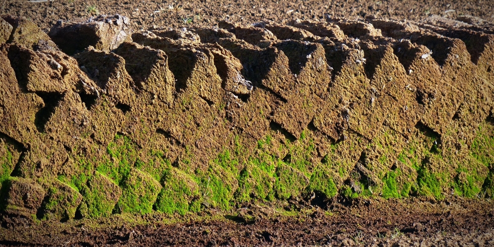 Иллюстративное изображение к профессии