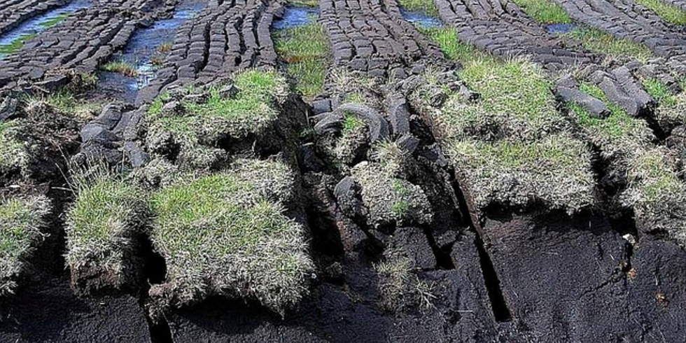 Иллюстративное изображение к профессии