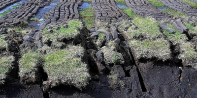 Иллюстративное изображение к профессии