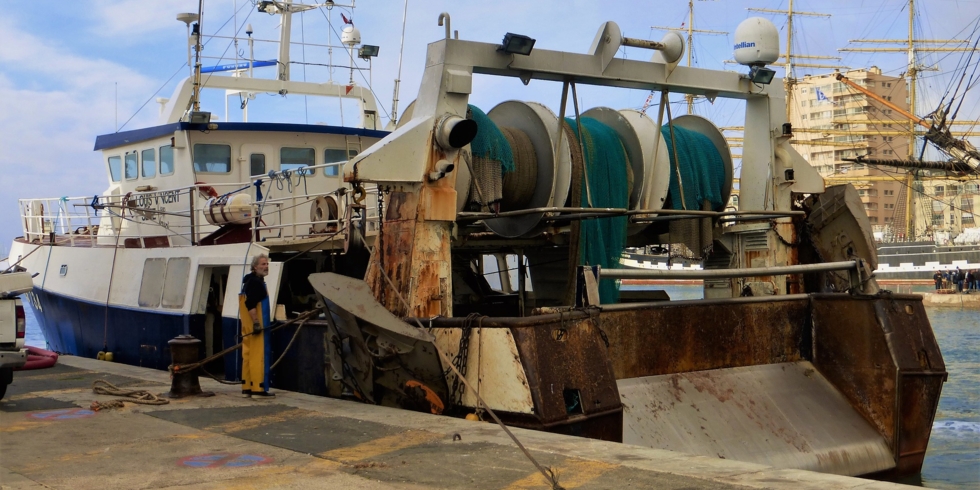 Иллюстративное изображение к профессии