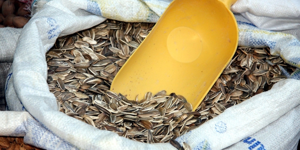 Иллюстративное изображение к профессии