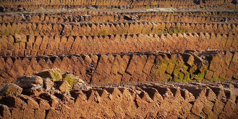 Иллюстративное изображение к профессии